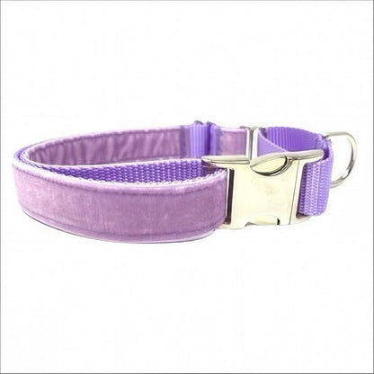 Fall, Lavender, Velvet, Custom, Buckle Martingale Dog Collar, Girl, Boy, Gold, Pink, Personalize, Engraved, Cute, Designer, Puppy, Greyhound
