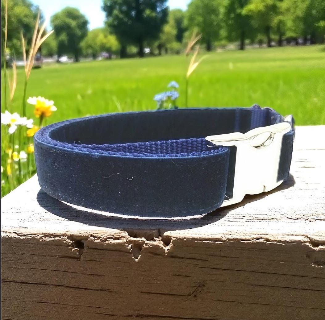 Fall, Navy Blue, Custom, Dog Collar, Girl, Boy, Personalized, Engraved, Cute, Designer, Puppy, Cat, Pet, Small, Medium, Large, Buckle, Male