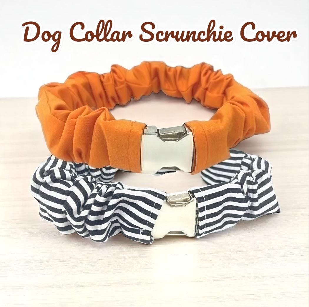 Fall, Orange, Black, Dog Collar Scrunchie Cover, Black + White Stripe, Orange Halloween, Collar Protectors