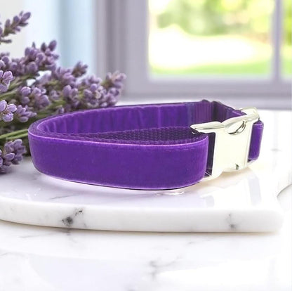 Fall, Purple, Custom, Dog Collar, Girl, Personalized, Engraved, Cute, Designer, Puppy, Cat, Pet, Small, Medium, Large, Buckle