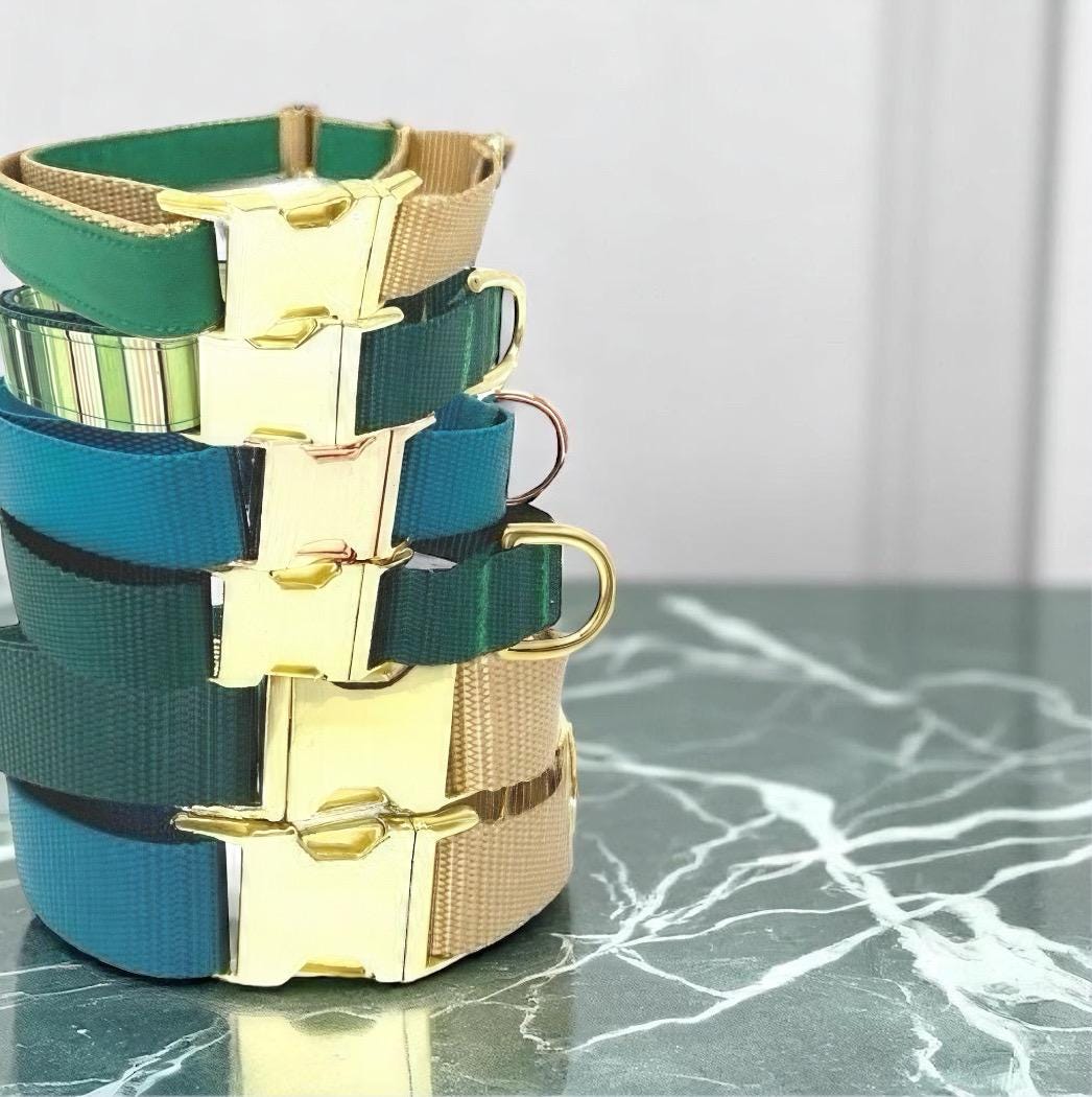 Green Buckle Martingale Dog Collar, Engraved, Girl, Boy, Custom, Cute, Designer, Puppy, Greyhound, Designer Dog, Personalized, Teal, Whippet