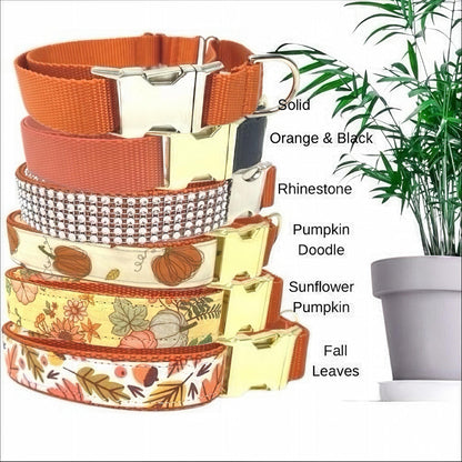 Halloween Buckle Martingale Collar, Girl Dog Collar, Fall, Orange, Black, Custom, Puppy Collar, Engraved Designer Dog Collar, Personalized