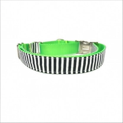 Halloween, Beetlejuice, Black, White, Neon Green, Buckle Martingale Dog Collar, Girl, Boy, Personalized, Engraved, Custom, Cute, greyhound