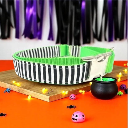 Halloween, Beetlejuice, Black, White, Neon Green, Buckle Martingale Dog Collar, Girl, Boy, Personalized, Engraved, Custom, Cute, greyhound