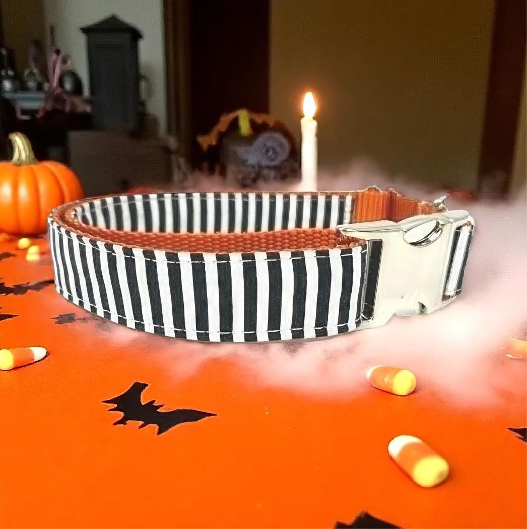 Halloween, Orange + Black, Stripe, Fall, Dog Collar, Girl, Boy, Designer, Puppy, Greyhound, Whippet, Personalized, Custom, Engraved, Cute