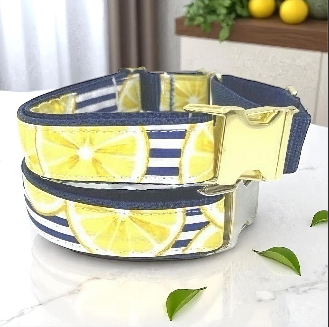 Martingale Collar, Dog Collars, Puppy Collar, Custom Dog Collar, Engraved Dog Collar, Designer Dog Collar, Girl, Boy, Large Dog Collar, Blue