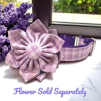 Martingale Dog Collar With Buckle, Purple And Lavender Plaid, Puppy Collar, Custom, Engraved Designer, Girl, Whippet, Greyhound Collar