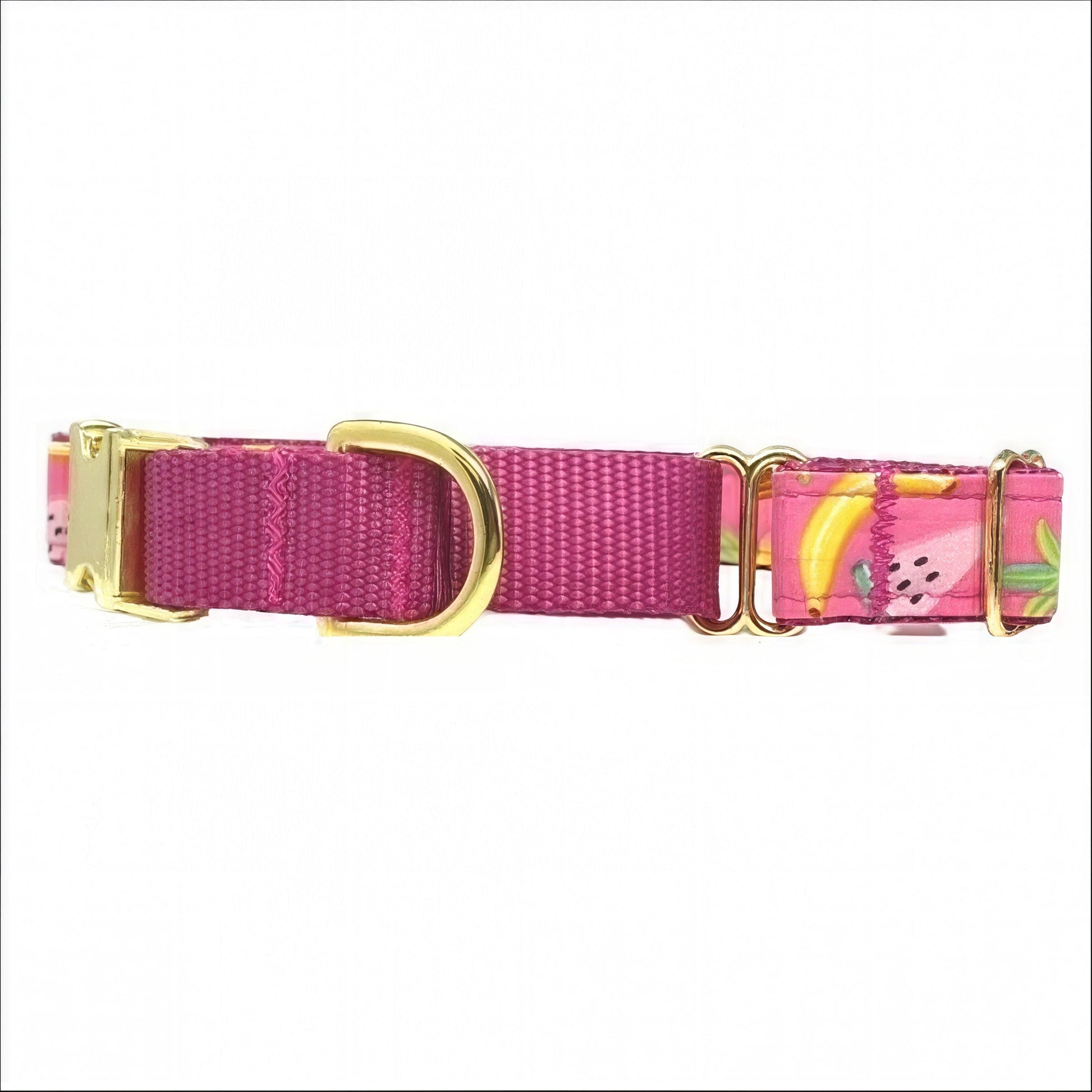 Martingale Dog Collar, Buckle, Yellow, Pink, Girl, Summer, Watermelon, Custom, Puppy Collar, Engraved, Designer Collar, Pineapple, Cute
