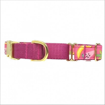 Martingale Dog Collar, Buckle, Yellow, Pink, Girl, Summer, Watermelon, Custom, Puppy Collar, Engraved, Designer Collar, Pineapple, Cute