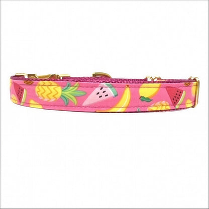 Martingale Dog Collar, Buckle, Yellow, Pink, Girl, Summer, Watermelon, Custom, Puppy Collar, Engraved, Designer Collar, Pineapple, Cute
