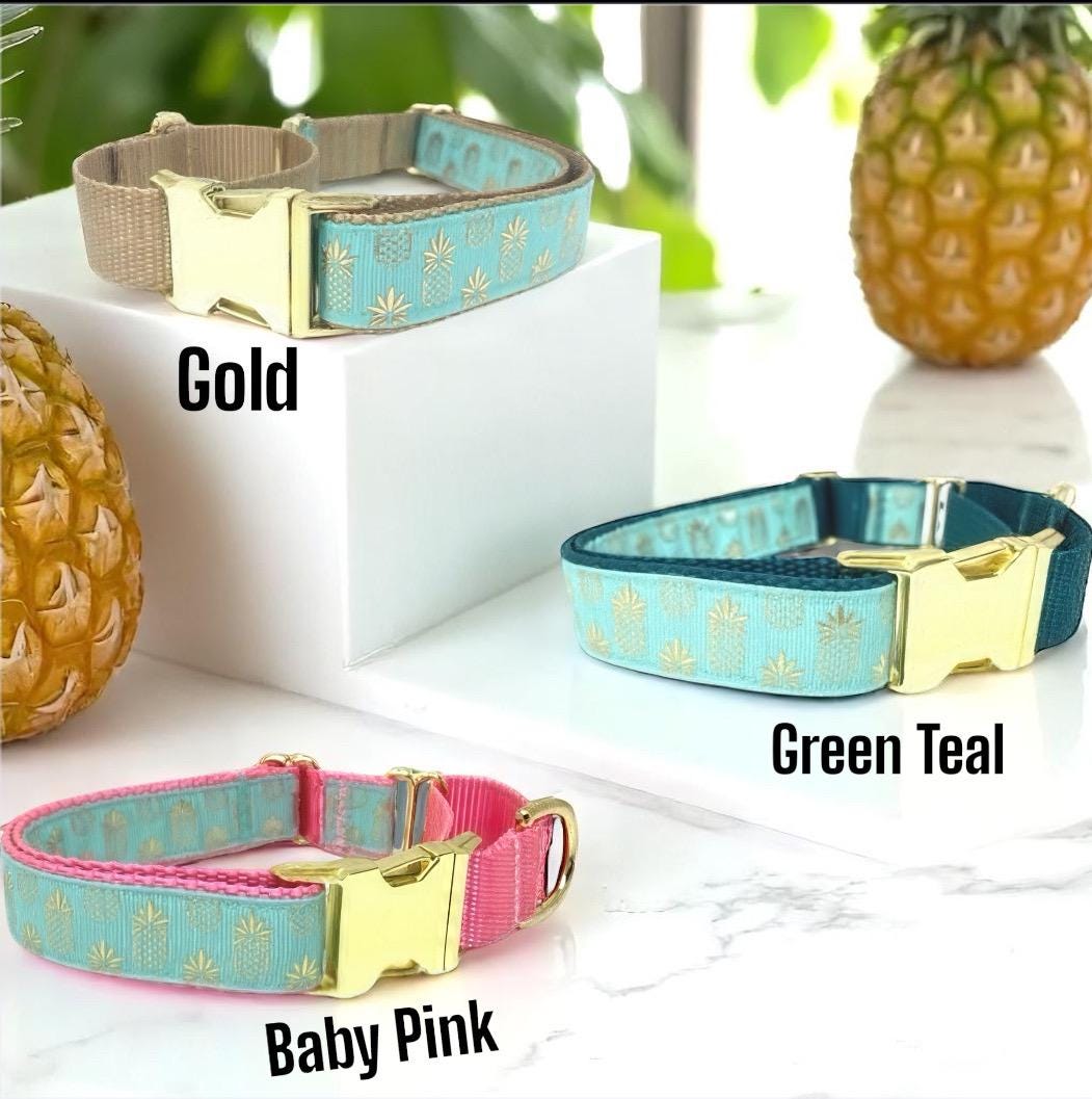 Pineapple, Martingale Collar, Buckle, Dog Collar Girl, Boy, Puppy Collar, Personalized, Engraved, Custom, Designer, Cute Dog, Small, Large