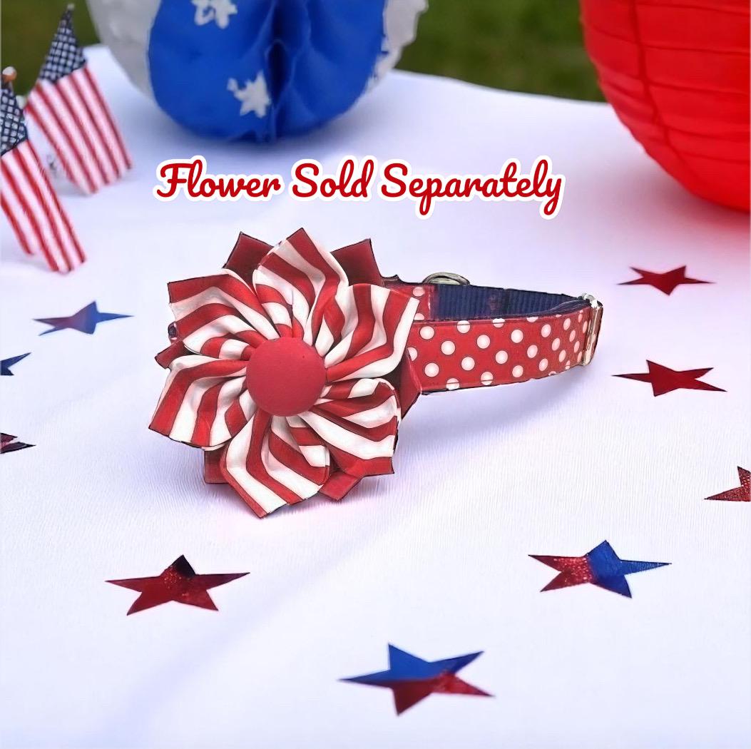 Patriotic, 4th Of July, Red, White, Blue, Polka Dot, Dog Collar, Girl, Cute, Personalized, Engraved, Custom, Puppy, + Optional Flower, Bow
