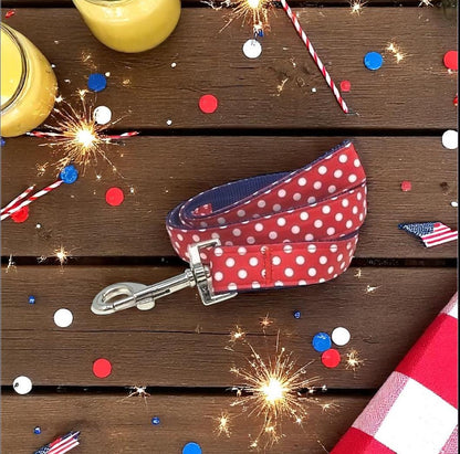 Patriotic, 4th Of July, Red, White, Blue, Polka Dot, Dog Collar, Girl, Cute, Personalized, Engraved, Custom, Puppy, + Optional Flower, Bow