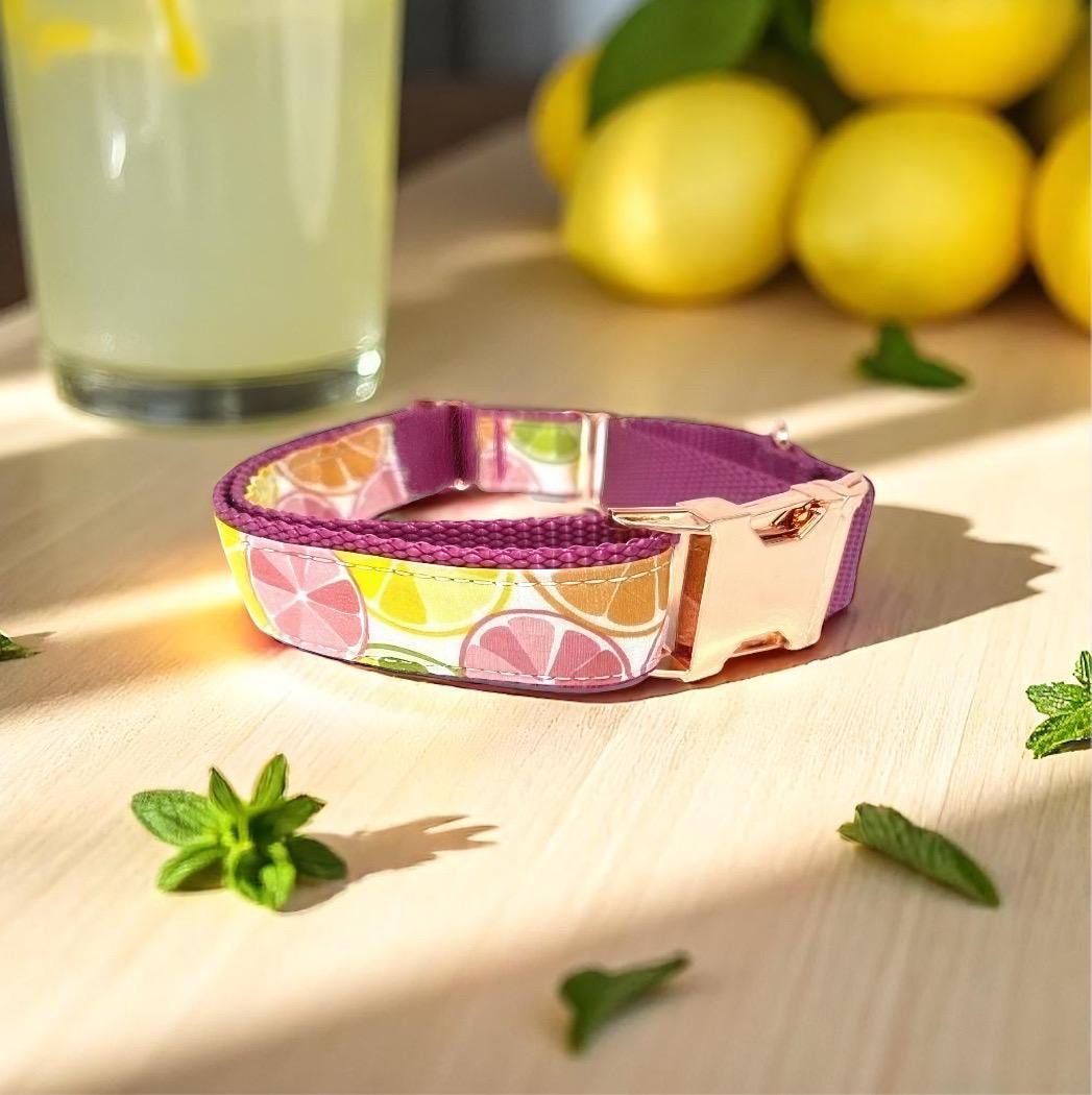 Martingale Dog Collar, W/ Buckle, Fruit, Lemon, Pink, Green, Orange, Dog Collar Girl, Personalized, Custom Dog Collar, Engraved, Puppy Colla