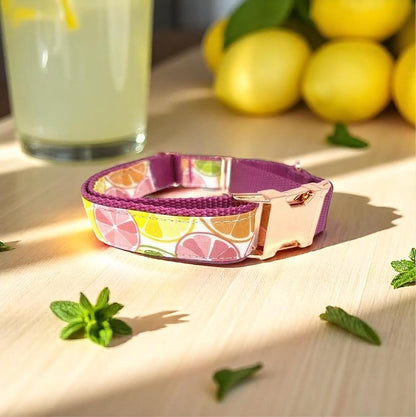 Martingale Dog Collar, W/ Buckle, Fruit, Lemon, Pink, Green, Orange, Dog Collar Girl, Personalized, Custom Dog Collar, Engraved, Puppy Colla