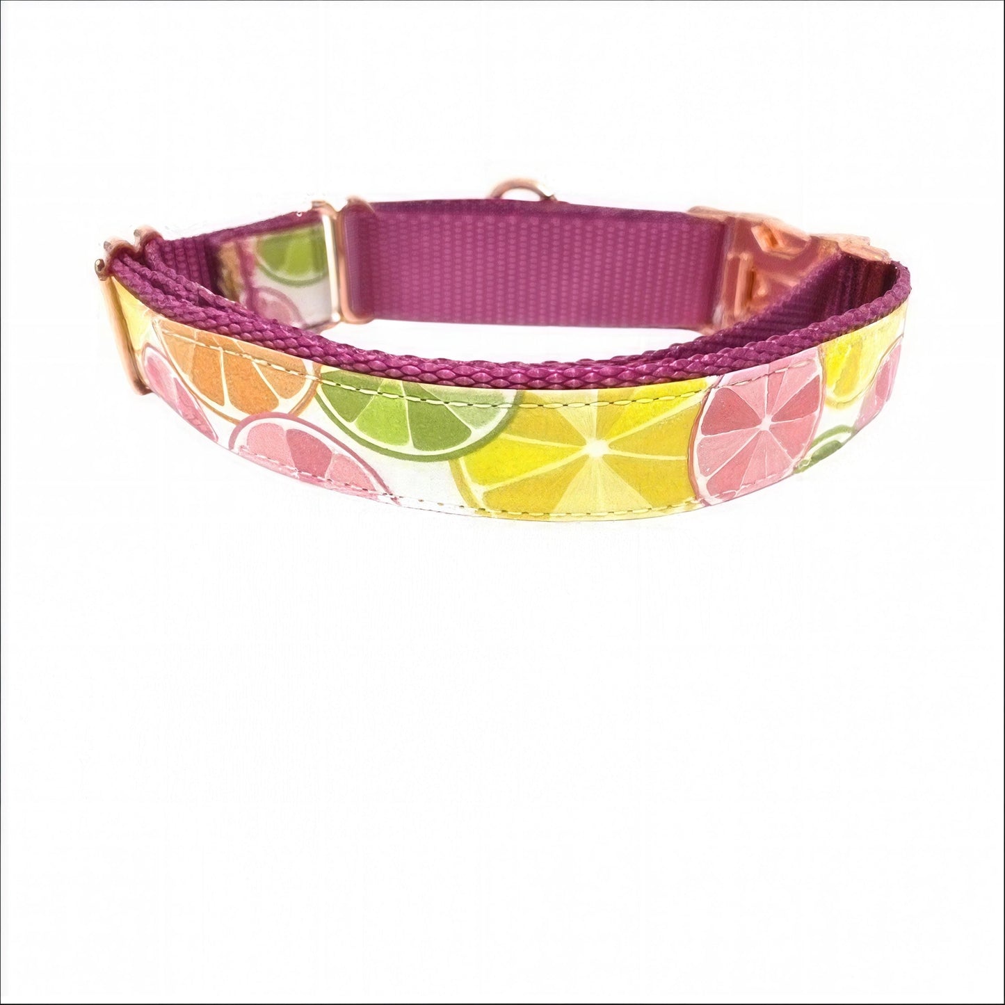 Martingale Dog Collar, W/ Buckle, Fruit, Lemon, Pink, Green, Orange, Dog Collar Girl, Personalized, Custom Dog Collar, Engraved, Puppy Colla