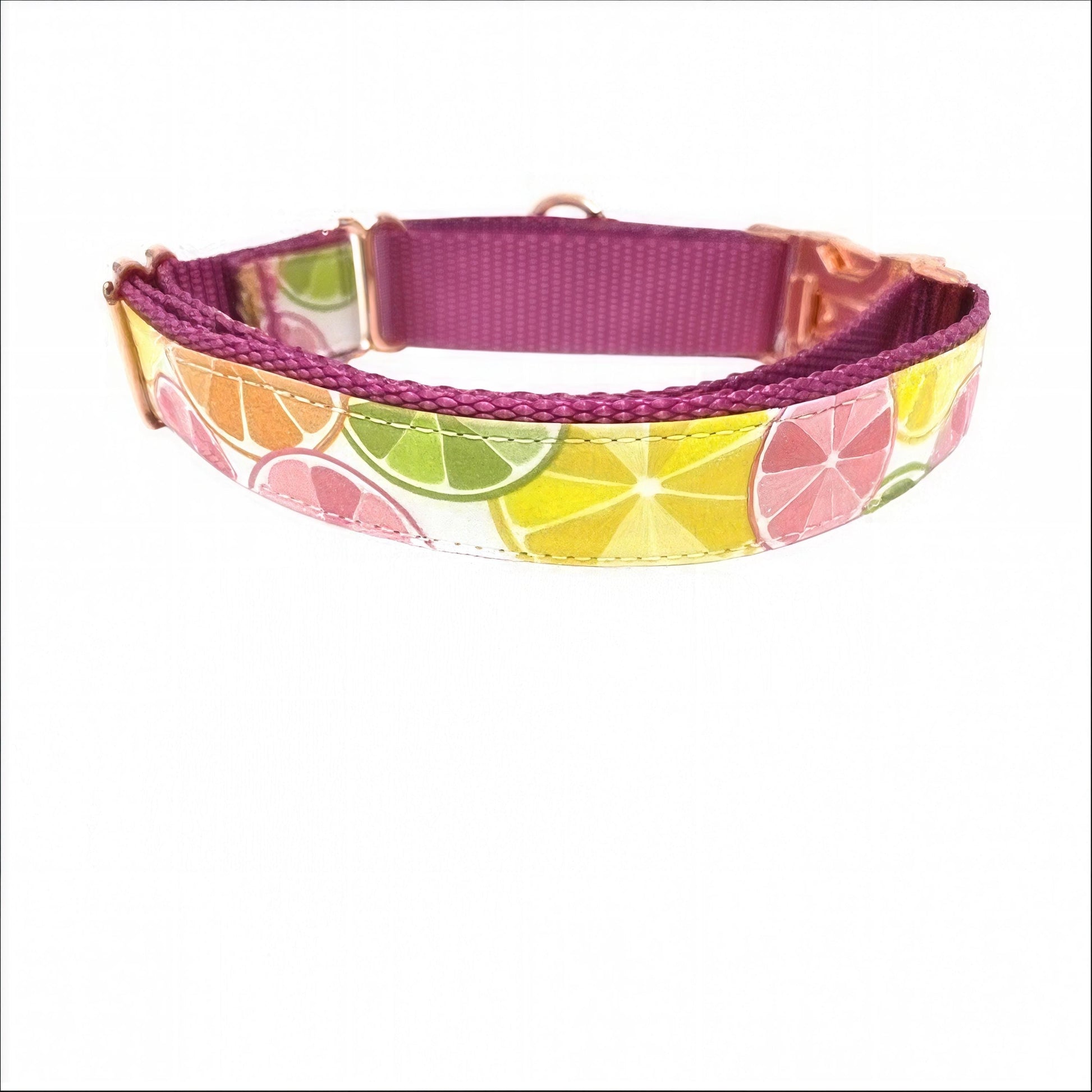 Martingale Dog Collar, W/ Buckle, Fruit, Lemon, Pink, Green, Orange, Dog Collar Girl, Personalized, Custom Dog Collar, Engraved, Puppy Colla