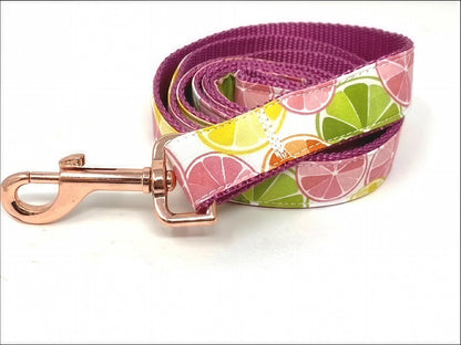 Martingale Dog Collar, W/ Buckle, Fruit, Lemon, Pink, Green, Orange, Dog Collar Girl, Personalized, Custom Dog Collar, Engraved, Puppy Colla