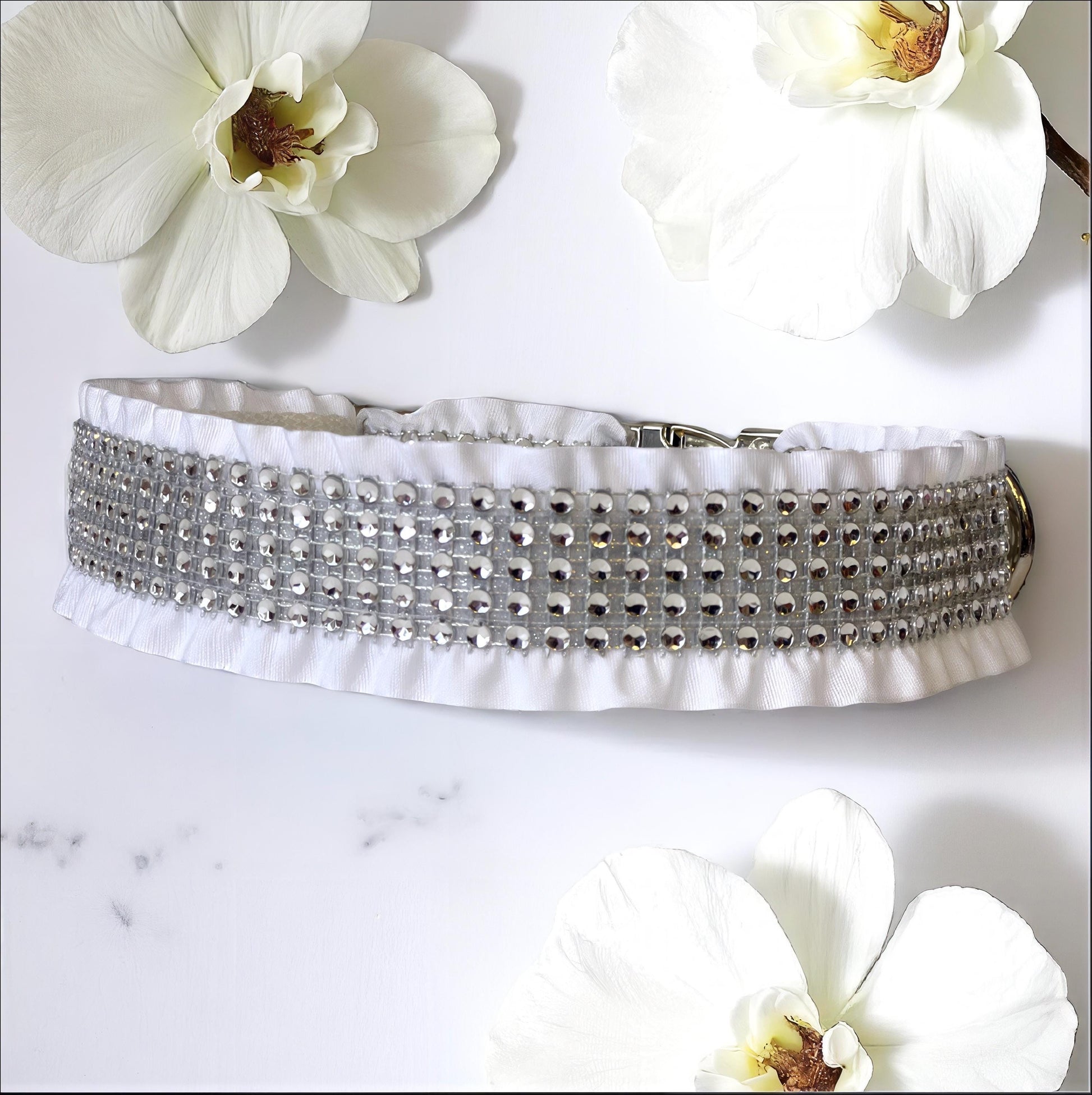 Bling Designer Dog Collar, Sparkle Rhinestones, Girl, Fancy, Personalized, Bedazzled, White, Pet, Cat, Engraved, Custom, Diamond, Wedding