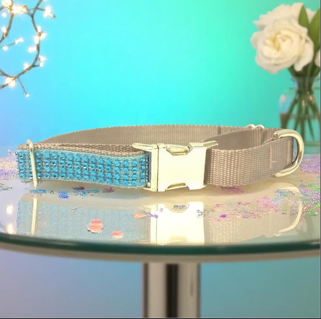 Martingale Dog Collar, With Buckle, Girls, Boys, Male, Female, Teal, Gold, Rhinestone, Glitter, Fancy, Sparkly, Bling, Personalized, Choker