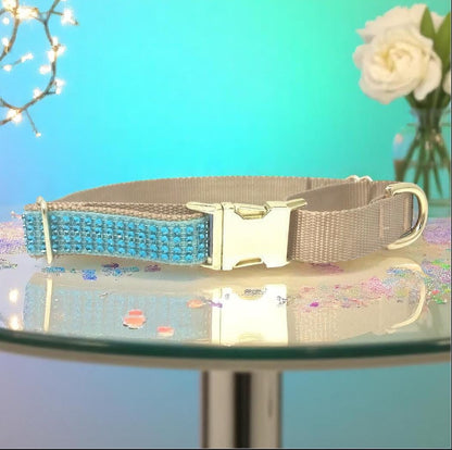 Martingale Dog Collar, With Buckle, Girls, Boys, Male, Female, Teal, Gold, Rhinestone, Glitter, Fancy, Sparkly, Bling, Personalized, Choker