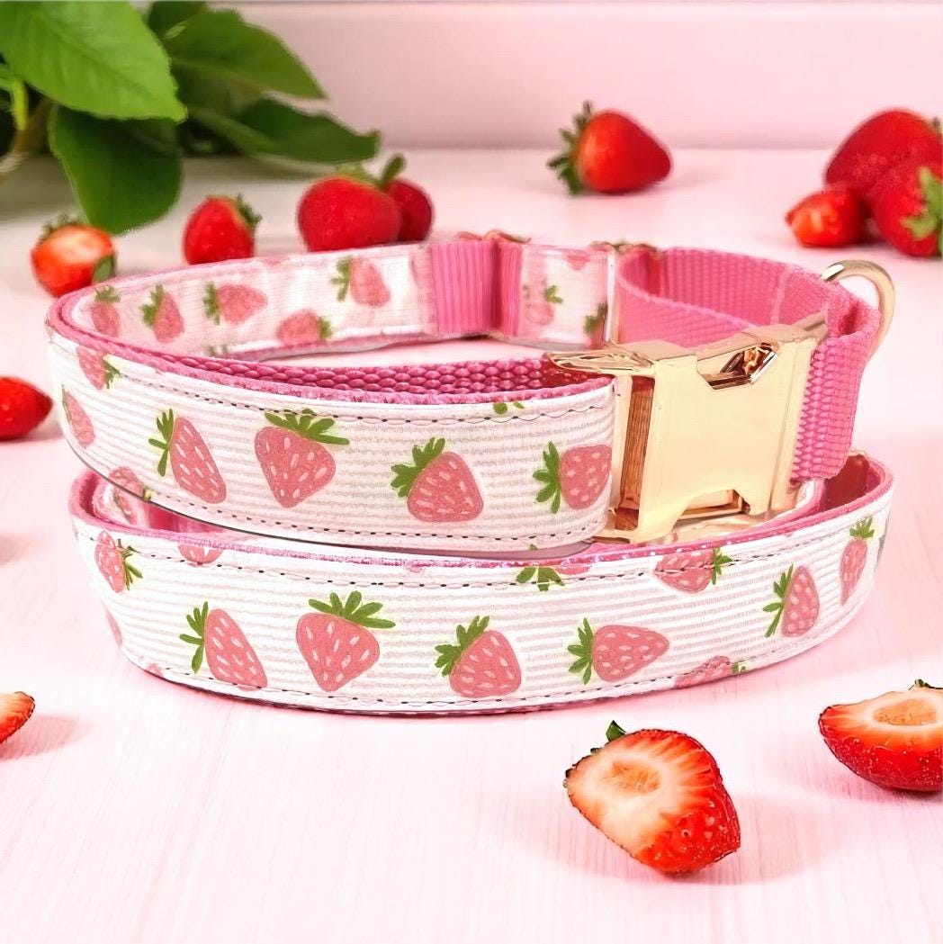 Pink, Custom, Buckle Martingale Dog Collar, Strawberry, Stripe, Girl, Big Pup Pet Fashion, Designer, Puppy, Greyhound, Whippet, Fabric