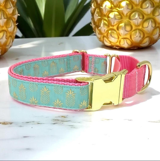 Martingale, Dog Collar, Girls, Boys, Cute Dog Collar, Gold, Pineapple, Buckle, Personalized, Engraved, Fancy, Designer, Pink, Custom Dog Col