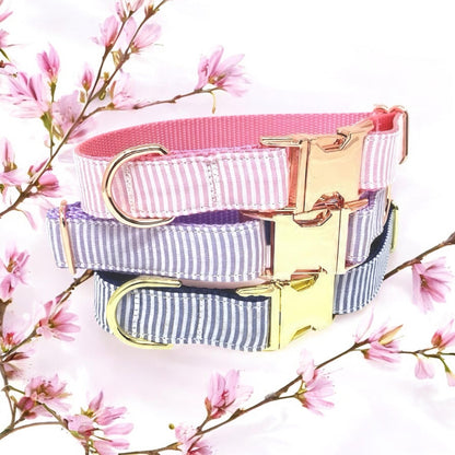 Striped, Pastel, Custom, Dog Collar, Girl, Boy, Personalize, Engrave, Cute, Designer, Puppy, Pet, Small, Medium, Large, Fashion, Pink, Blue