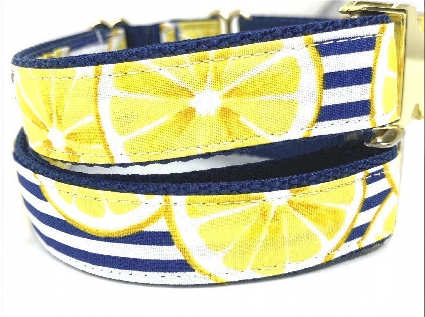 Martingale Collar, Dog Collars, Puppy Collar, Custom Dog Collar, Engraved Dog Collar, Designer Dog Collar, Girl, Boy, Large Dog Collar, Blue