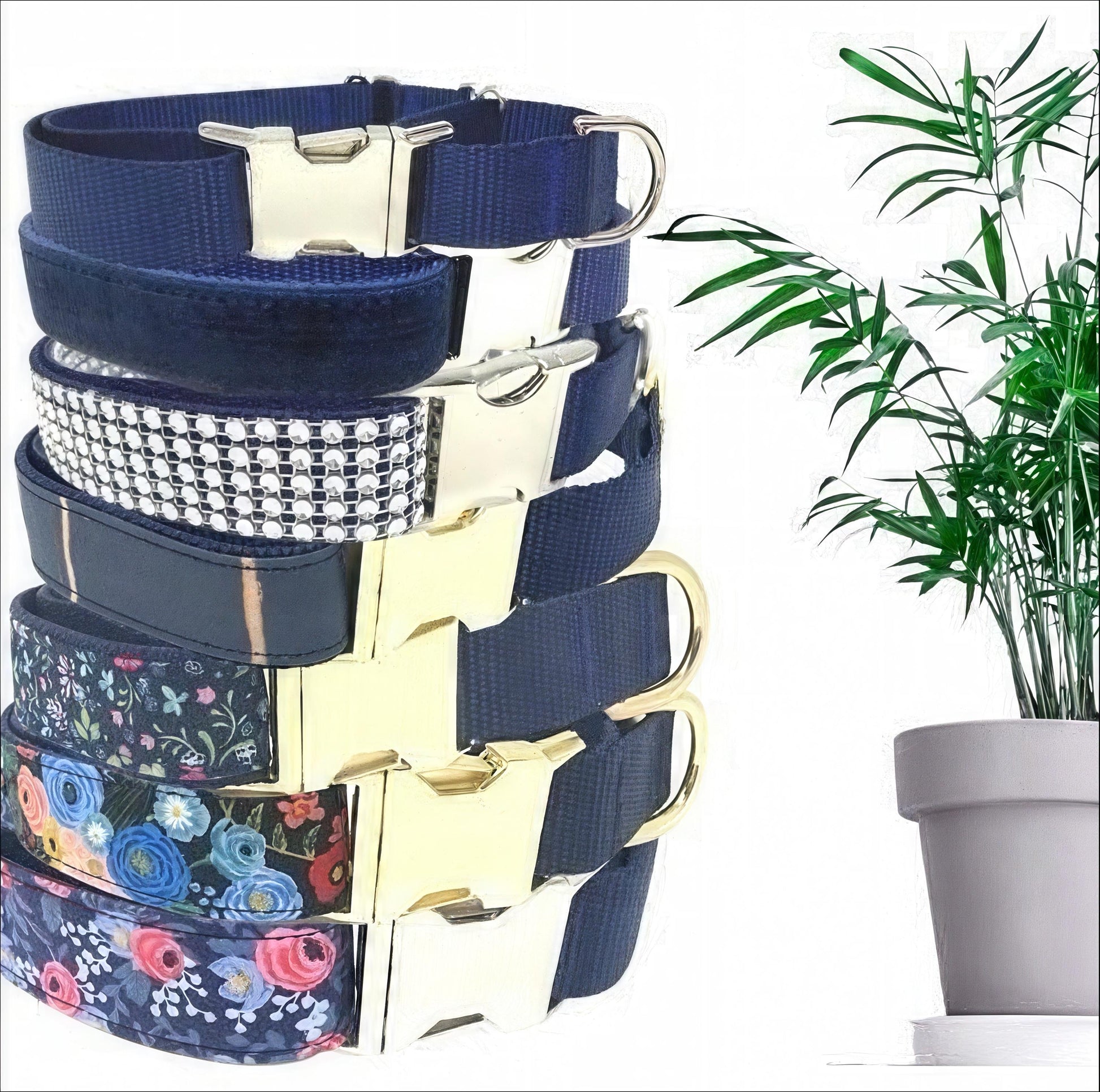 Blue Buckle Martingale Dog Collar, Girl, Boy, Cute, Designer, Puppy, Small, Large, Whippet, Greyhound, Custom, Personalized, Gold, Male, Pet