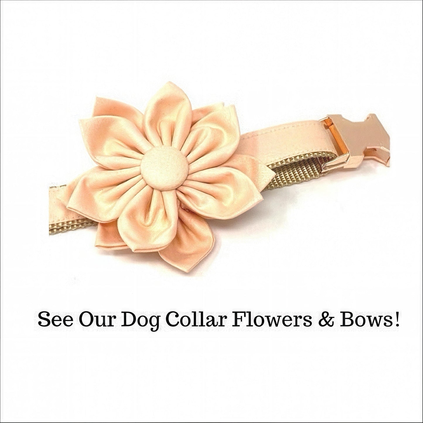 Nude, Peach, Rose Gold, Custom, Dog Collar, Girl, Boy, Personalize, Engrave, Cute, Designer, Puppy, Cat, Pet, Small, Medium, Large, Fashion