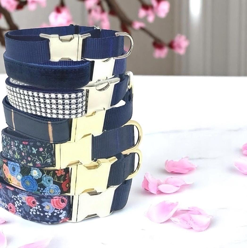Blue Buckle Martingale Dog Collar, Girl, Boy, Cute, Designer, Puppy, Small, Large, Whippet, Greyhound, Custom, Personalized, Gold, Male, Pet