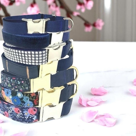 Blue Buckle Martingale Dog Collar, Girl, Boy, Cute, Designer, Puppy, Small, Large, Whippet, Greyhound, Custom, Personalized, Gold, Male, Pet