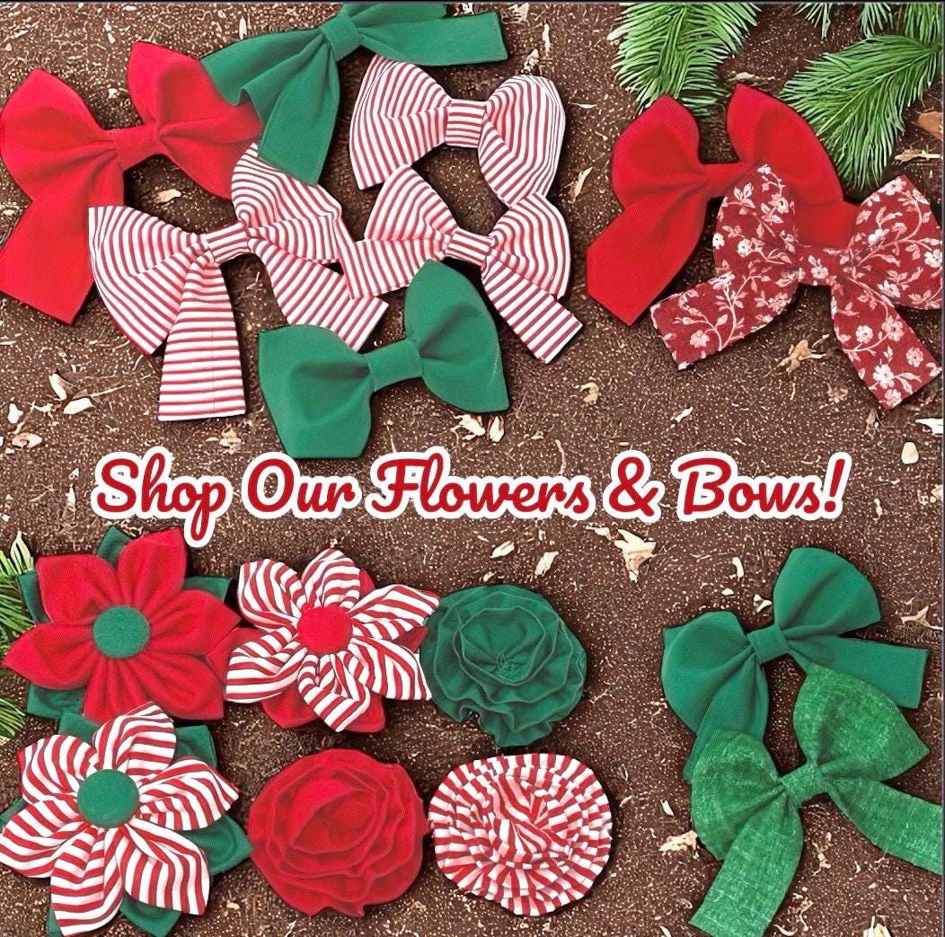 Christmas Grinch Inspired, Polka Dot, Red, Green, Dog Collar, Girl, Boy, Cute, Holiday, Personalized, Engraved, Custom, Puppy Collar, Large