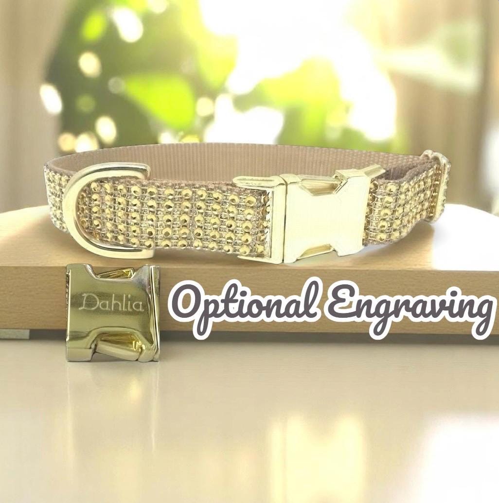Fancy, Gold, Glitter, Rhinestone, Sparkle Dog Collar, Bling, Bedazzled, Personalize Dog Collar, Custom, Engrave, Girls, Female, Cat, Diamond