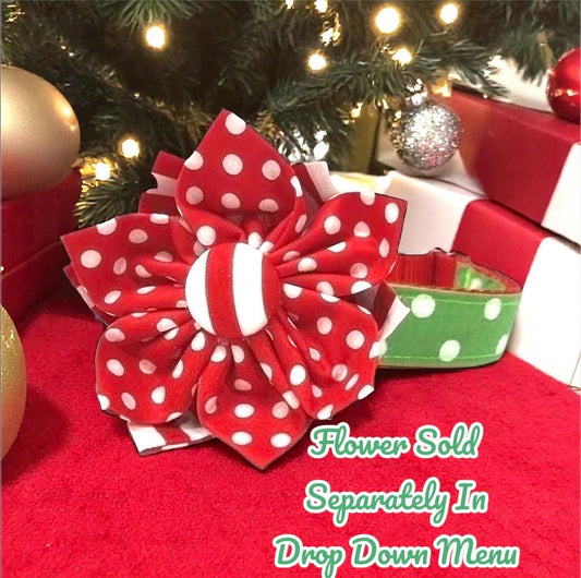 Christmas Grinch Inspired, Polka Dot, Red, Green, Dog Collar, Girl, Cute, Holiday, Personalized, Engraved, Custom, Puppy, With Optional Bow