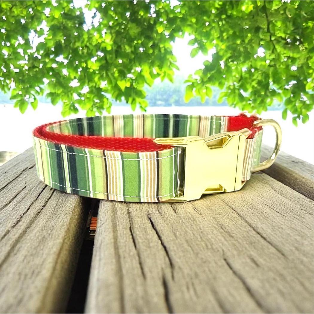 Christmas Stripe Dog Collar, Gold Buckle, Red, Green, Plaid, Girl, Boy, Holiday, Seasonal, Personalize, Engrave, Custom, Designer, Puppy