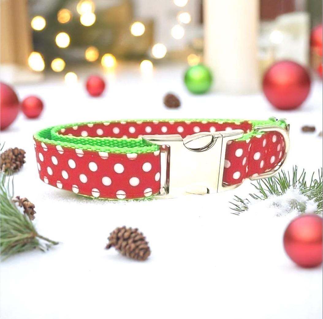 Christmas, Grinch Inspired, Red, White, Neon Green, Polka Dot, Girl Dog Collar, Puppy Collar, Personalized, Engraved, Custom, Cute Pet,