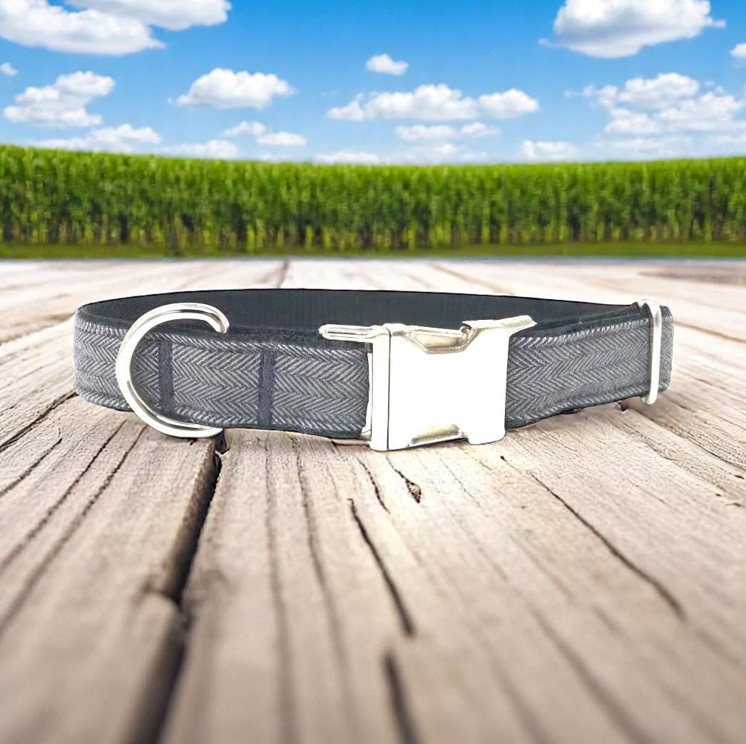 Dog Collar Boy, Grey, Collars, Custom Dog Collar, Small Dog Collar, Engraved Dog Collar, Designer Dog Collar, Large Dog Collar, Personalized