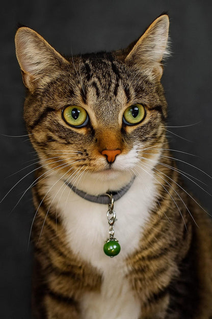 Pearl Dog Collar Charm Clip – Pet Collar Accessories for Dogs & Cats – Bling Jewelry Add-On – Customizable Colors – Cute Pet Charm for Puppy