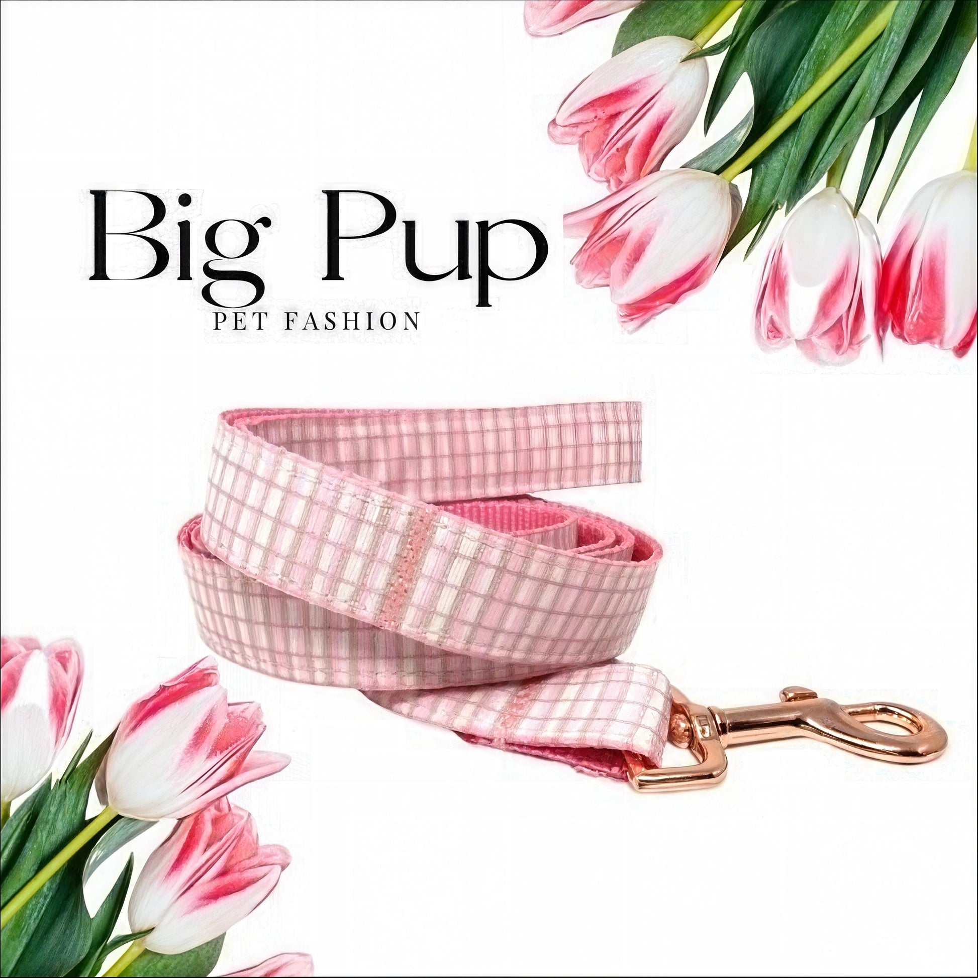 Personalized, Buckle, Martingale Collar, Pink, Plaid, Rose Gold, Girl, Engrave, Custom, Designer Dog Collar, Cute, Greyhound, Whippet