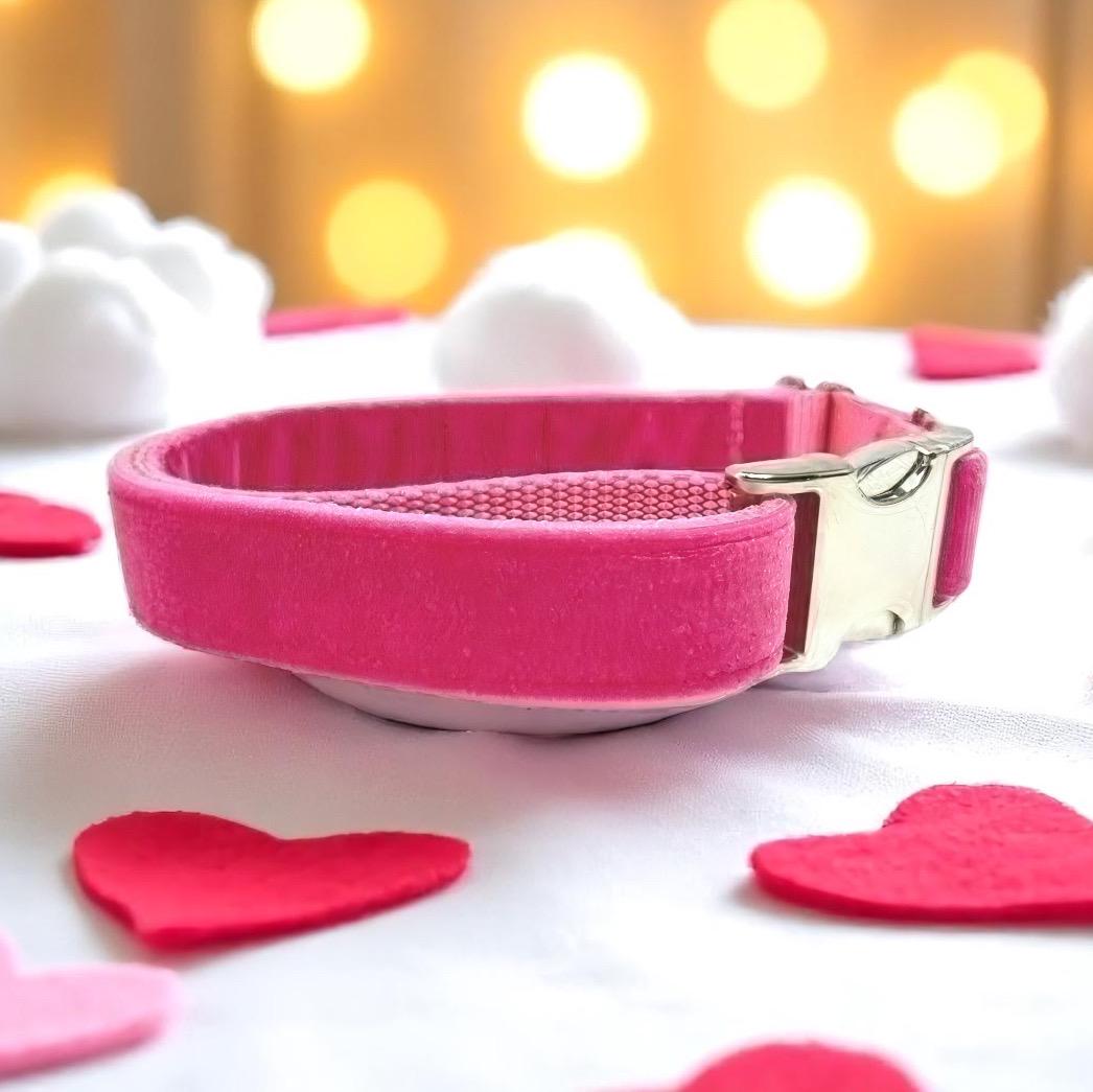 Personalized, Fall, Hot Pink, Velvet, Custom, Buckle Martingale Collar, Girl, Engraved, Cute, Designer, Puppy Collar, Greyhound, Whippet,