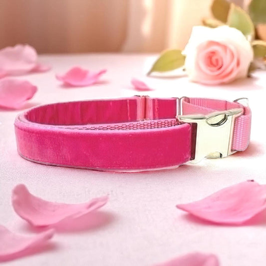 Personalized, Fall, Hot Pink, Velvet, Custom, Buckle Martingale Collar, Girl, Engraved, Cute, Designer, Puppy Collar, Greyhound, Whippet,