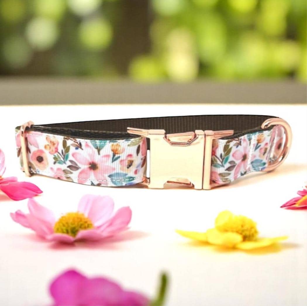 Dog Collar, For Girls, Personalized, Rose Gold, Pink, Green, Brown, Female, Engraved, Floral Pet Collar, Trendy, Fashion, Puppy Collar, tag