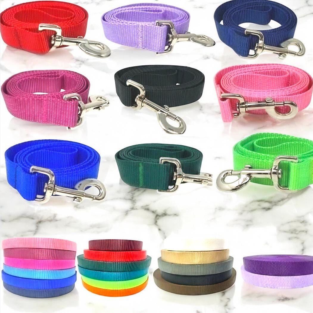 Dog Leash, 19 Color Options, Pink, Purple, Lavender, lilac, White, Orange, Red, Blue, Green, Dog Lead, 5 Foot, Silver Hardware, Girl, Boy
