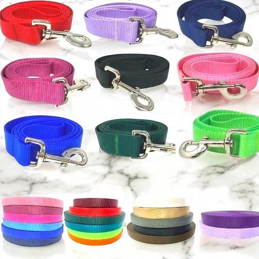 Dog Leash, 19 Color Options, Pink, Purple, Lavender, lilac, White, Orange, Red, Blue, Green, Dog Lead, 5 Foot, Silver Hardware, Girl, Boy