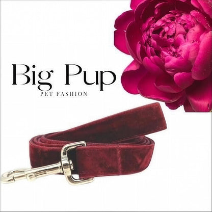 Dog Leash, Burgundy, Maroon, Velvet, Girls, Boys, Male, Female, Aqua, Jade, Green, 5 foot, medium, large, extra large dogs