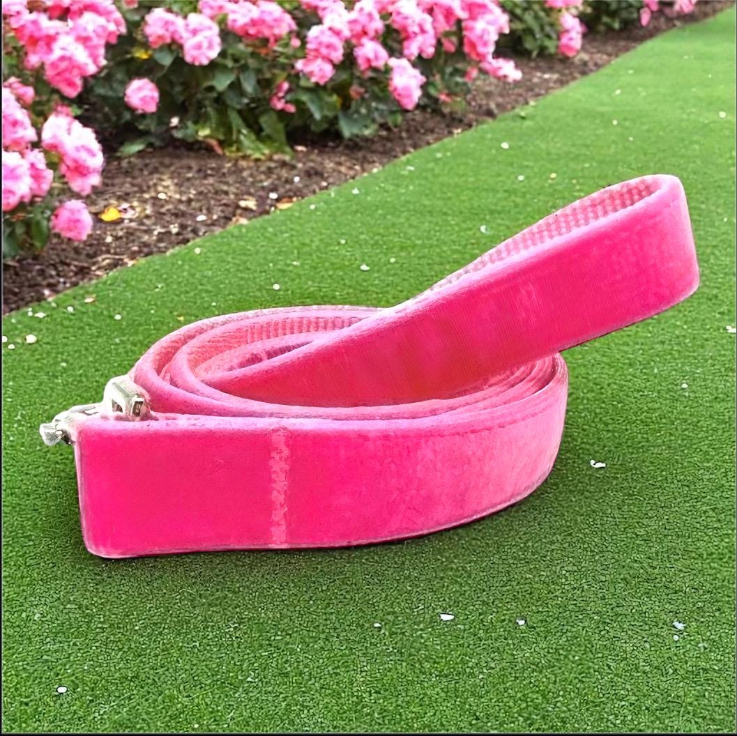 Dog Leash, Hot Pink, Velvet, Girls, Boys, Male, Female, Aqua, Jade, Green, 5 foot, medium, large, extra large dogs