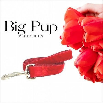 Dog Leash, Red, Velvet, Girls, Boys, Male, Female, Aqua, Jade, Green, 5 foot, medium, large, extra large dogs