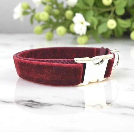 Fall, Burgundy, Velvet, Custom, Dog Collar, Girl, Boy, Personalized, Engraved, Cute, Designer, Puppy, Cat, Pet, Small, Medium, Large, Buckle